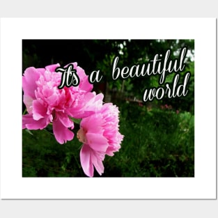 peonies in the garden Posters and Art